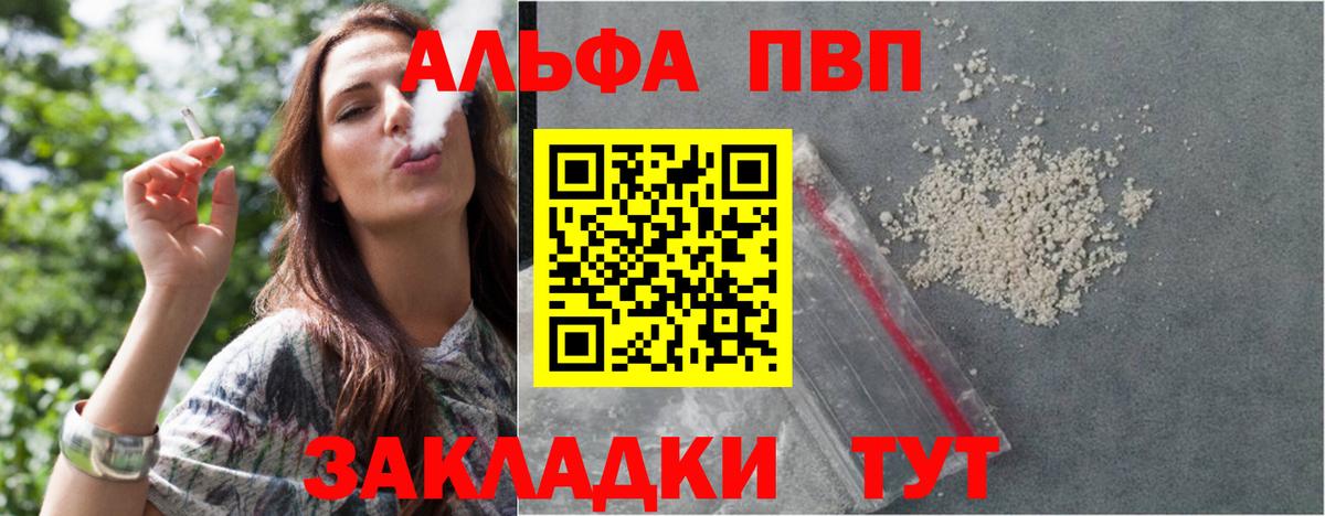 Альфа ПВП СК КРИС Кизилюрт