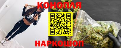 стаф Бийск