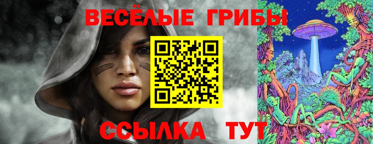 Галлюциногенные грибы ЛСД Кизилюрт